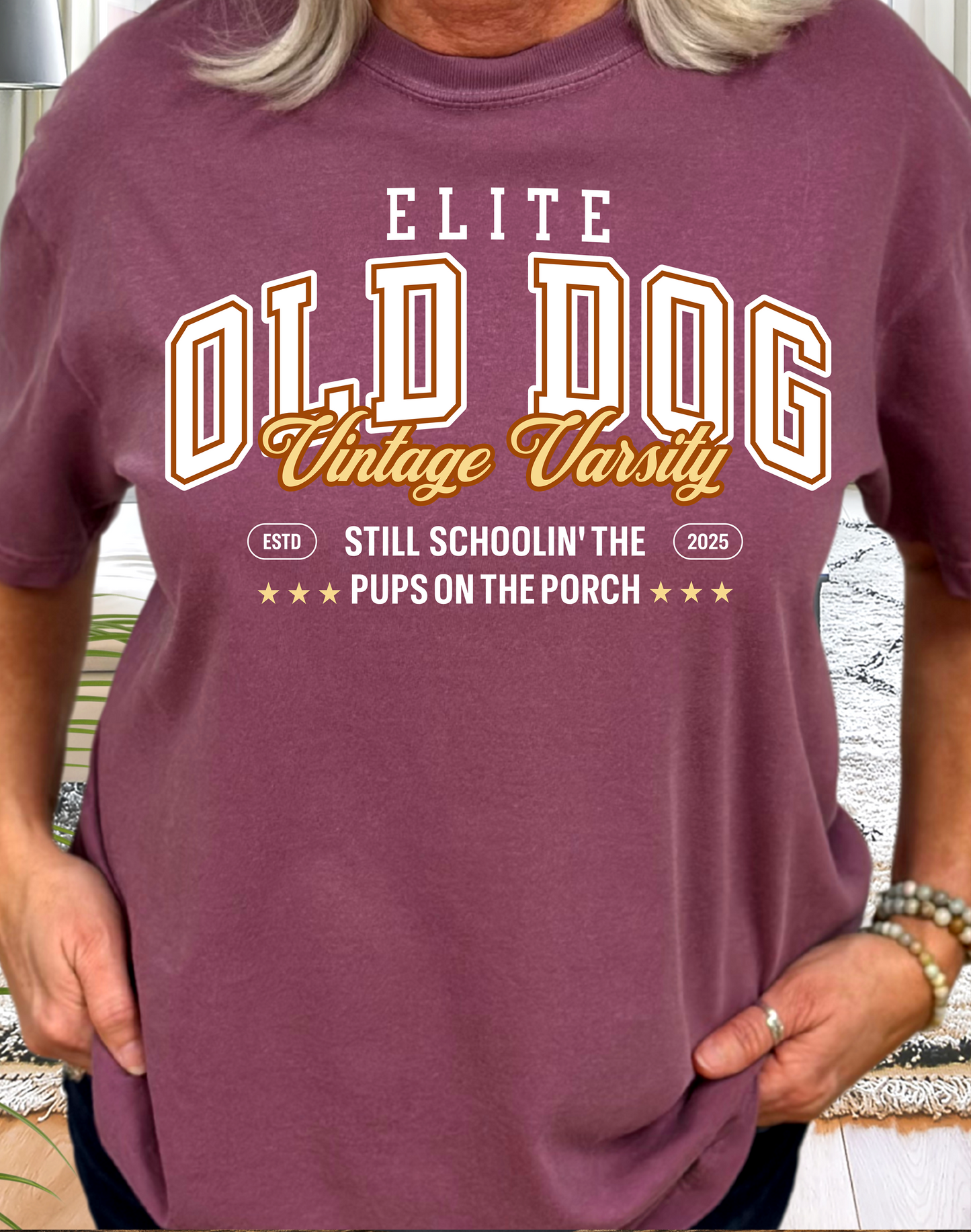 Old Dog Vintage Varsity Tee