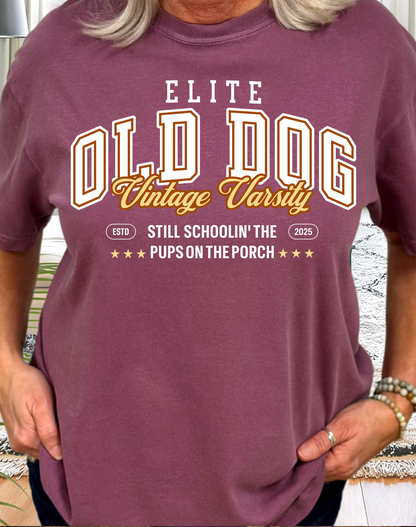 Old Dog Vintage Varsity Tee