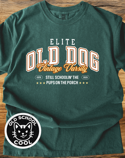 Old Dog Vintage Varsity Tee