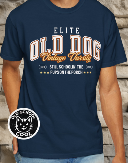 Old Dog Vintage Varsity Tee