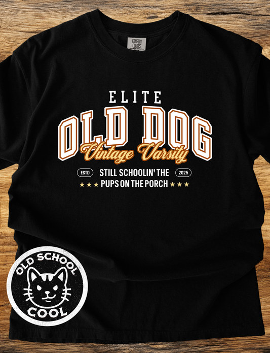 Old Dog Vintage Varsity T-Shirt